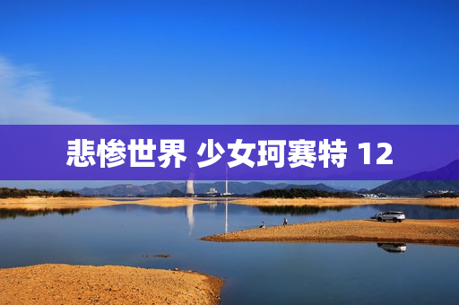 悲惨世界 少女珂赛特 12