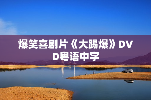爆笑喜剧片《大踢爆》DVD粤语中字