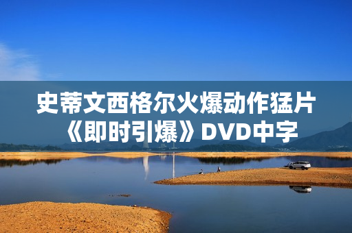 史蒂文西格尔火爆动作猛片《即时引爆》DVD中字 史蒂文西格尔火爆动作猛片《即时引爆》DVD中字