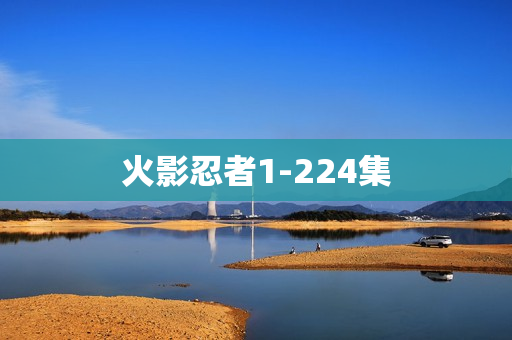 火影忍者1-224集