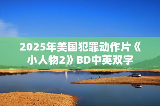 2025年美国犯罪动作片《小人物2》BD中英双字