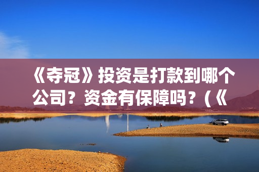 《夺冠》投资是打款到哪个公司？资金有保障吗？(《夺冠》成本)
