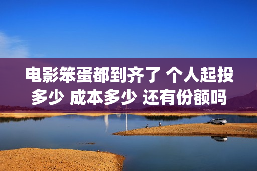 电影笨蛋都到齐了 个人起投多少 成本多少 还有份额吗(笨蛋都到齐了主题曲)