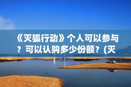 《灭狐行动》个人可以参与？可以认购多少份额？(灭狐行动制片人)