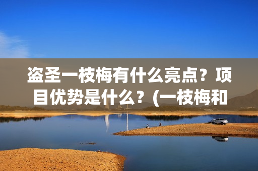 盗圣一枝梅有什么亮点?项目优势是什么?(一枝梅和逆贼) 盗圣一枝梅有什么亮点?项目优势是什么?(一枝梅和逆贼)