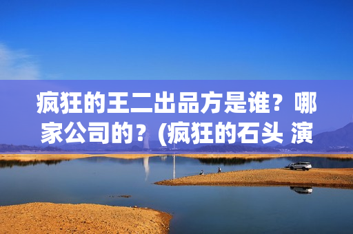 疯狂的王二出品方是谁？哪家公司的？(疯狂的石头 演员王)