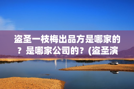 盗圣一枝梅出品方是哪家的?是哪家公司的?(盗圣演盗圣) 盗圣一枝梅出品方是哪家的?是哪家公司的?(盗圣演盗圣)