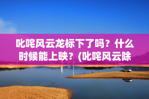 叱咤风云龙标下了吗？什么时候能上映？(叱咤风云除了龙还有谁)