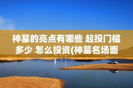 神墓的亮点有哪些 起投门槛多少 怎么投资(神墓名场面)