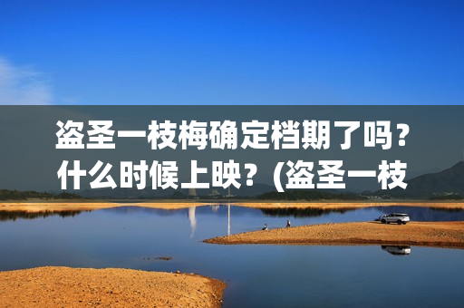 盗圣一枝梅确定档期了吗？什么时候上映？(盗圣一枝梅演员)
