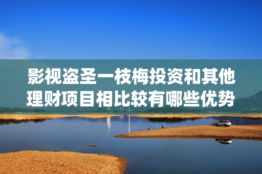 影视盗圣一枝梅投资和其他理财项目相比较有哪些优势？(盗圣一枝梅演员)