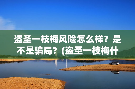 盗圣一枝梅风险怎么样？是不是骗局？(盗圣一枝梅什么时候上映)