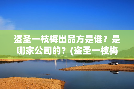 盗圣一枝梅出品方是谁？是哪家公司的？(盗圣一枝梅演员)