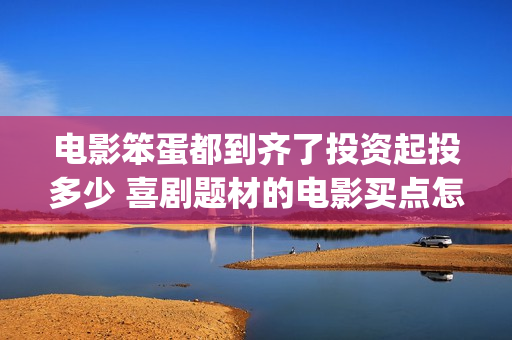 电影笨蛋都到齐了投资起投多少 喜剧题材的电影买点怎么样(笨蛋mv)