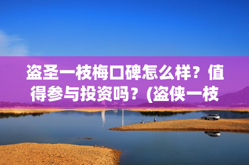 盗圣一枝梅口碑怎么样？值得参与投资吗？(盗侠一枝梅)