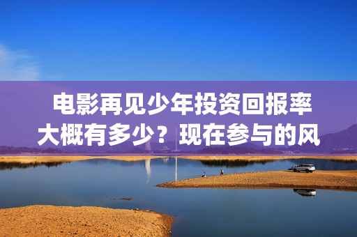 电影再见少年投资回报率大概有多少？现在参与的风险大吗？(电影再见少年剧情介绍)