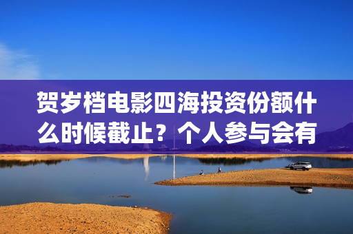 贺岁档电影四海投资份额什么时候截止？个人参与会有分红保障吗？(电影四海海报)