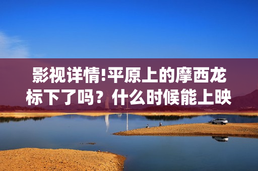 影视详情!平原上的摩西龙标下了吗？什么时候能上映？(平原百科)