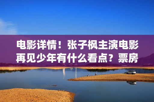 电影详情！张子枫主演电影再见少年有什么看点？票房竞争力怎样？(张子2017)