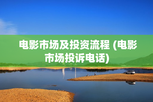  电影市场及投资流程 (电影市场投诉电话)