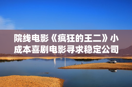 院线电影《疯狂的王二》小成本喜剧电影寻求稳定公司长期合作(电影:疯狂)