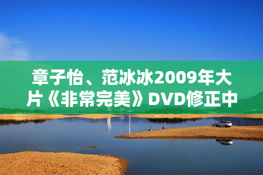 章子怡、范冰冰2009年大片《非常完美》DVD修正中字