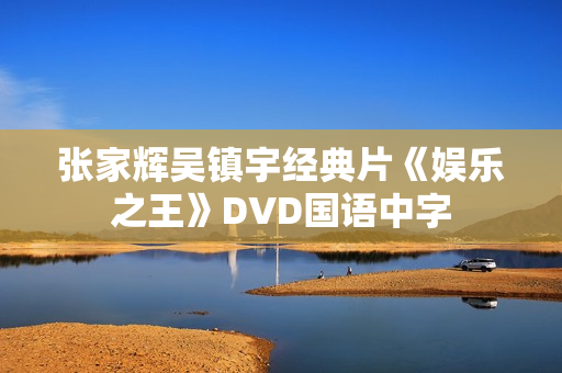 张家辉吴镇宇经典片《娱乐之王》DVD国语中字