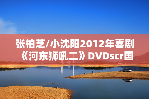 张柏芝/小沈阳2012年喜剧《河东狮吼二》DVDscr国语中字