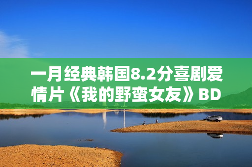 一月经典韩国8.2分喜剧爱情片《我的野蛮女友》BD双语中字