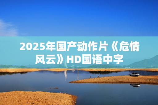 2025年国产动作片《危情风云》HD国语中字