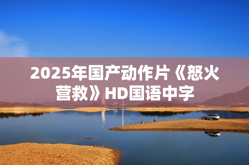 2025年国产动作片《怒火营救》HD国语中字
