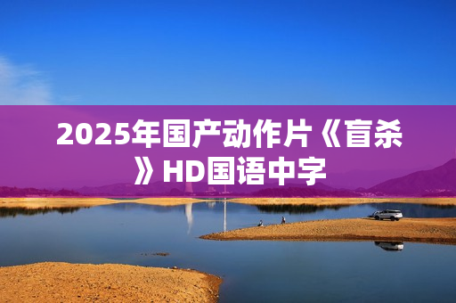 2025年国产动作片《盲杀》HD国语中字