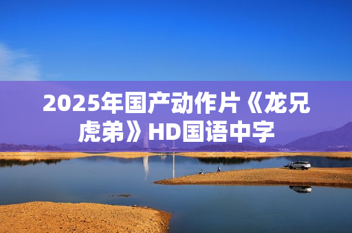 2025年国产动作片《龙兄虎弟》HD国语中字