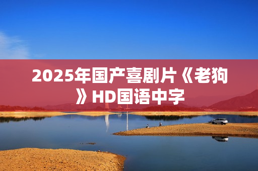 2025年国产喜剧片《老狗》HD国语中字