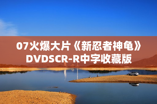 07火爆大片《新忍者神龟》DVDSCR-R中字收藏版
