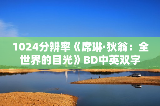 1024分辨率《席琳·狄翁：全世界的目光》BD中英双字无水印