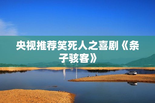 央视推荐笑死人之喜剧《条子骇客》