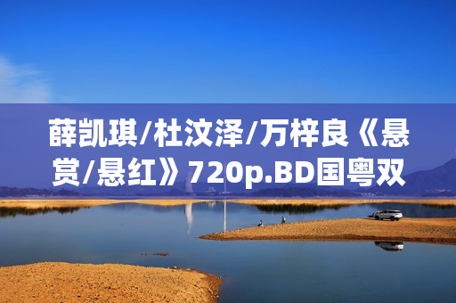 薛凯琪/杜汶泽/万梓良《悬赏/悬红》720p.BD国粤双语中字