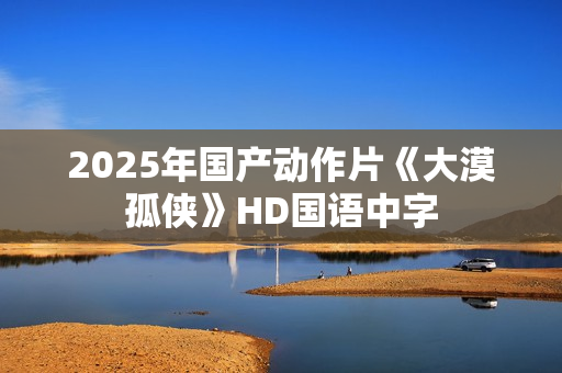 2025年国产动作片《大漠孤侠》HD国语中字