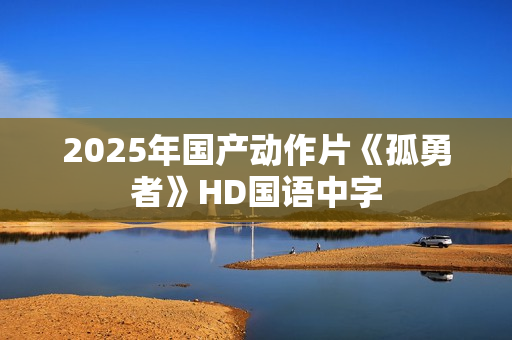 2025年国产动作片《孤勇者》HD国语中字