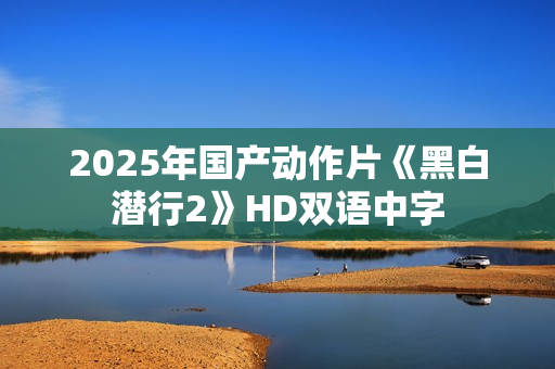 2025年国产动作片《黑白潜行2》HD双语中字