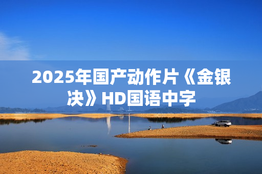 2025年国产动作片《金银决》HD国语中字