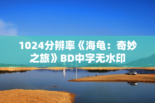 1024分辨率《海龟：奇妙之旅》BD中字无水印