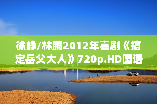 徐峥/林鹏2012年喜剧《搞定岳父大人》720p.HD国语中字