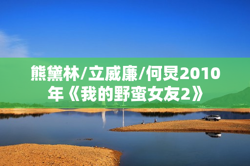 熊黛林/立威廉/何炅2010年《我的野蛮女友2》