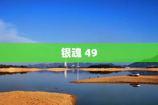 银魂 49