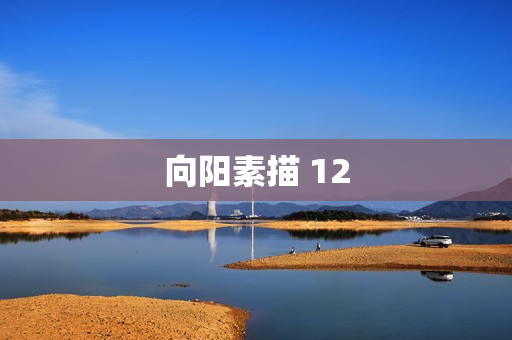 向阳素描 12