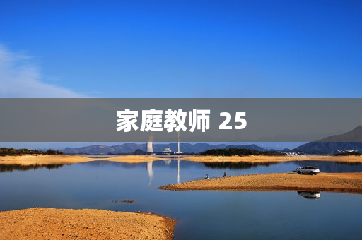 家庭教师 25