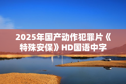 2025年国产动作犯罪片《特殊安保》HD国语中字