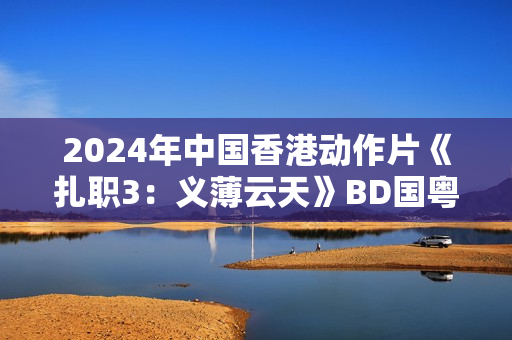 2024年中国香港动作片《扎职3：义薄云天》BD国粤双语中字